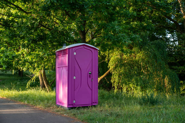 Best Affordable portable toilet rental  in Lineville, AL